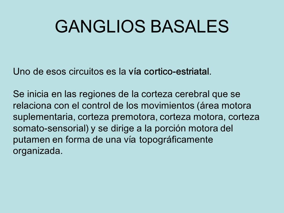GANGLIOS BASALES Uno de esos circuitos es la vía cortico-estriatal.