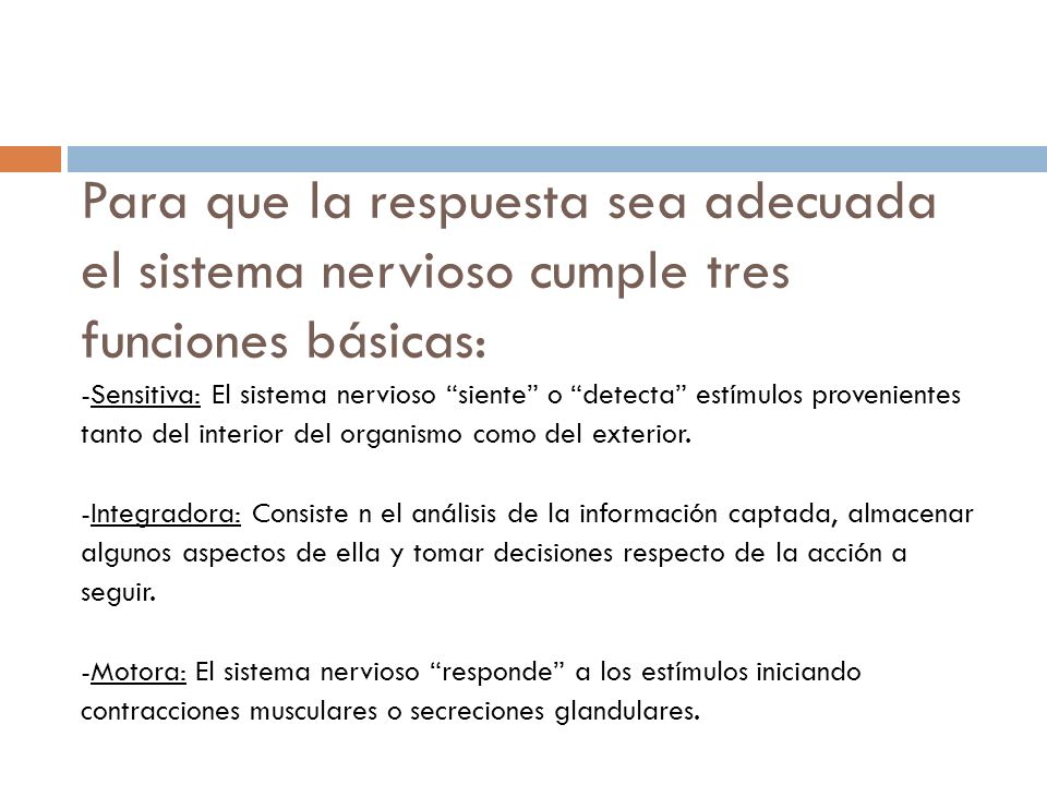 Para que la respuesta sea adecuada el sistema nervioso cumple tres funciones básicas: