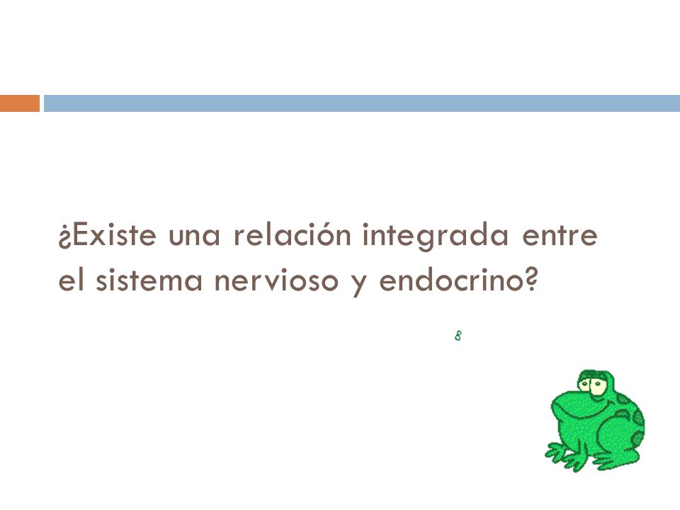 ¿Existe una relación integrada entre el sistema nervioso y endocrino