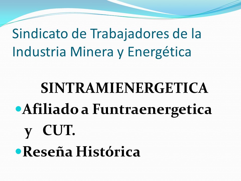 Sindicato de Trabajadores de la Industria Minera y Energética