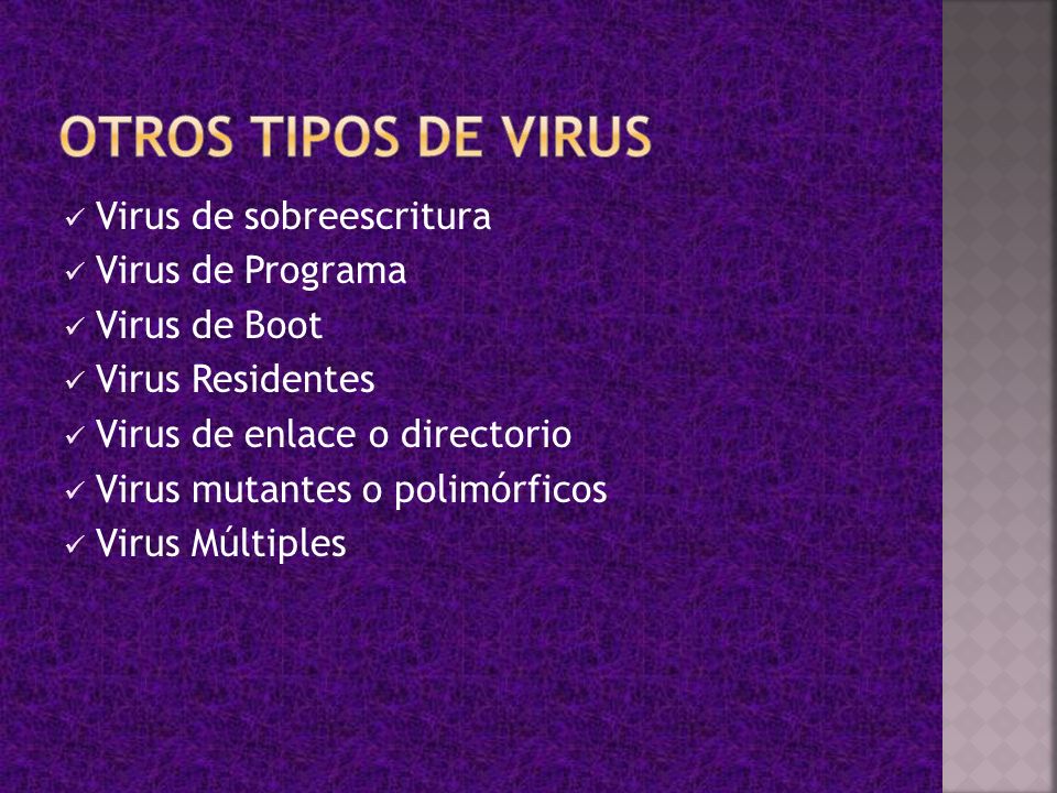 OTROS TIPOS DE VIRUS Virus de sobreescritura Virus de Programa