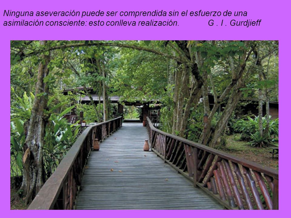Ninguna aseveración puede ser comprendida sin el esfuerzo de una asimilación consciente: esto conlleva realización.