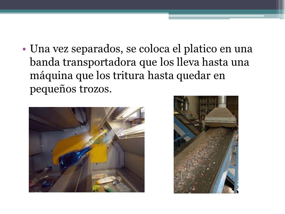 Una vez separados, se coloca el platico en una banda transportadora que los lleva hasta una máquina que los tritura hasta quedar en pequeños trozos.