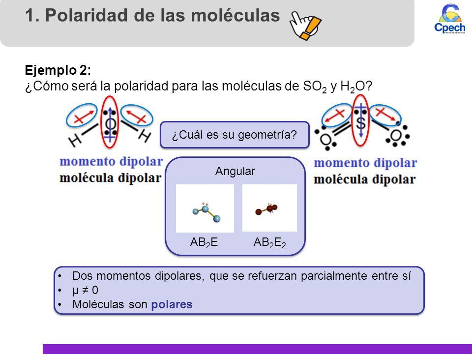 Polaridad de las moléculas y fuerzas intermoleculares - ppt video online  descargar