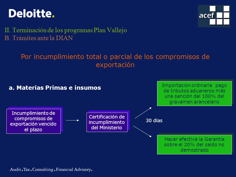 II. Terminación de los programas Plan Vallejo B. Trámites ante la DIAN
