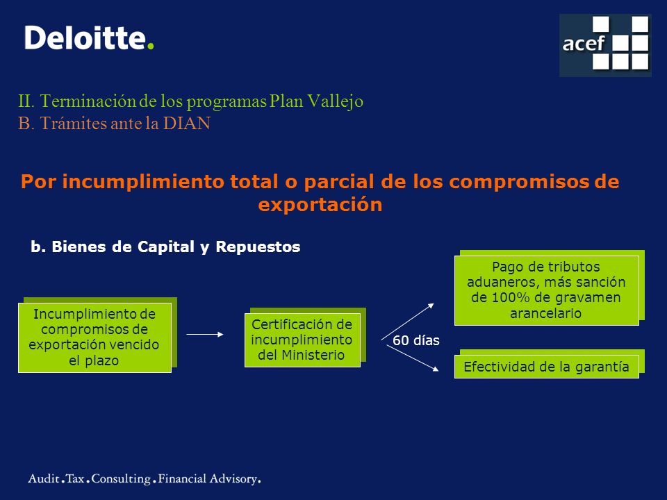 II. Terminación de los programas Plan Vallejo B. Trámites ante la DIAN