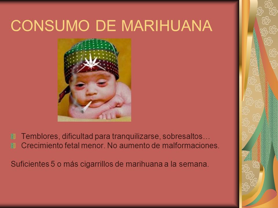 CONSUMO DE MARIHUANA Temblores, dificultad para tranquilizarse, sobresaltos… Crecimiento fetal menor. No aumento de malformaciones.