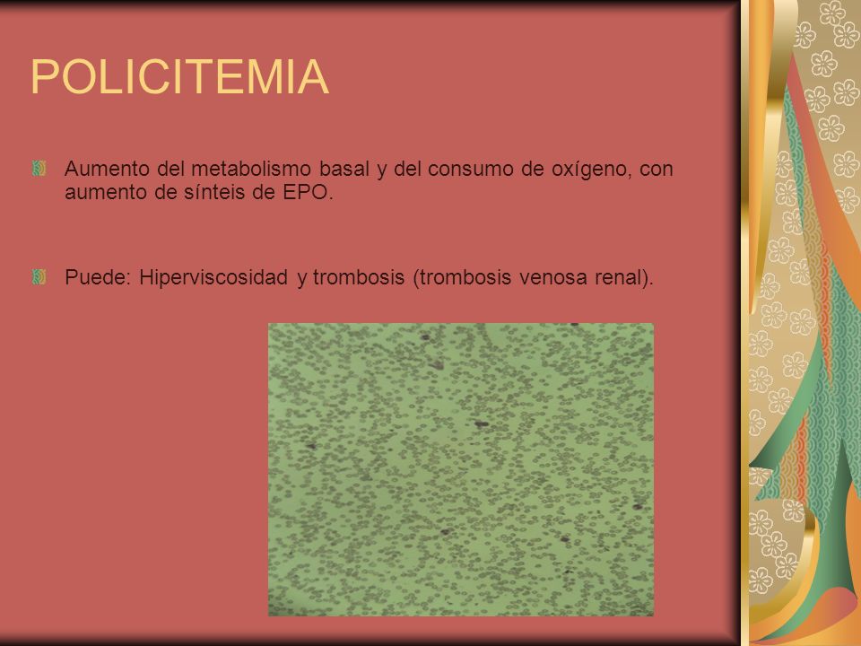 POLICITEMIA Aumento del metabolismo basal y del consumo de oxígeno, con aumento de sínteis de EPO.