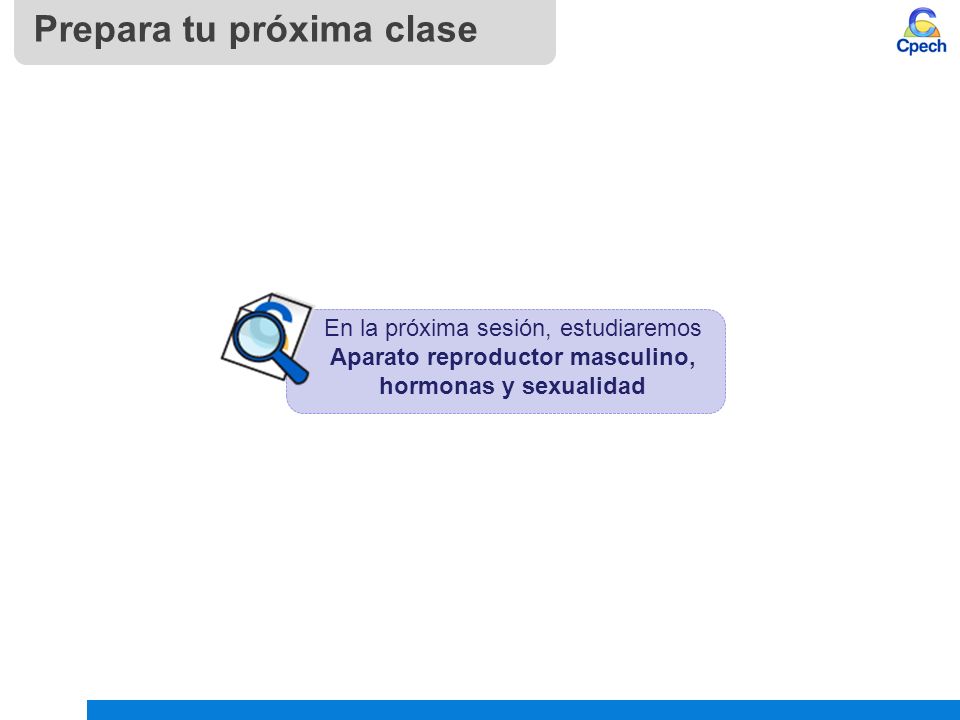 Prepara tu próxima clase