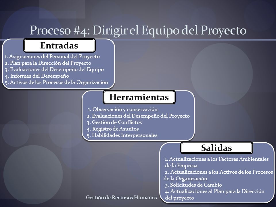 Proceso #4: Dirigir el Equipo del Proyecto