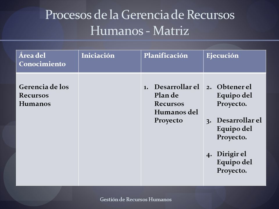 Procesos de la Gerencia de Recursos Humanos - Matriz