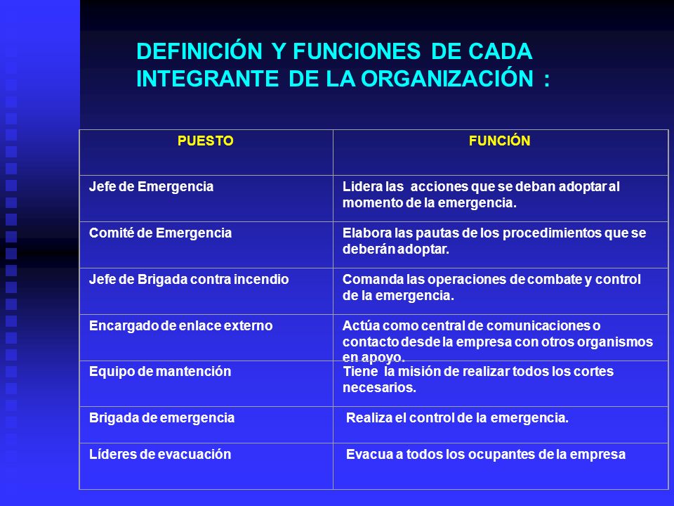 DEFINICIÓN Y FUNCIONES DE CADA INTEGRANTE DE LA ORGANIZACIÓN :