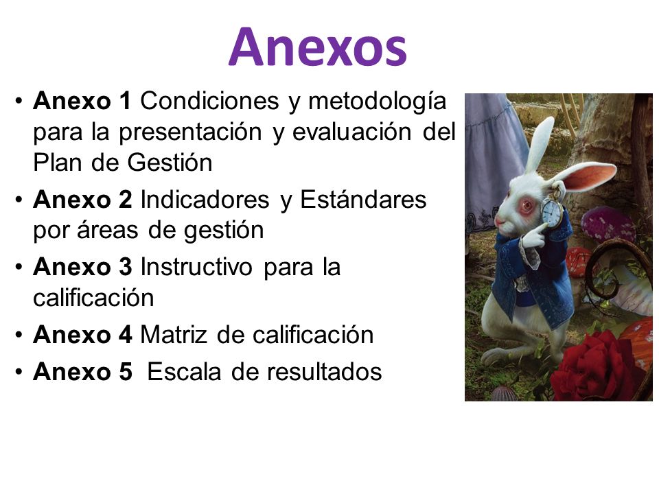 Anexos Anexo 1 Condiciones y metodología para la presentación y evaluación del Plan de Gestión.