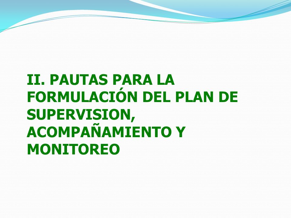 II. PAUTAS PARA LA FORMULACIÓN DEL PLAN DE SUPERVISION, ACOMPAÑAMIENTO Y MONITOREO