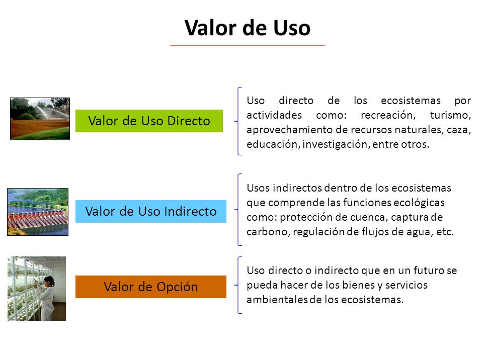 Valor de Uso Valor de Uso Directo Valor de Uso Indirecto