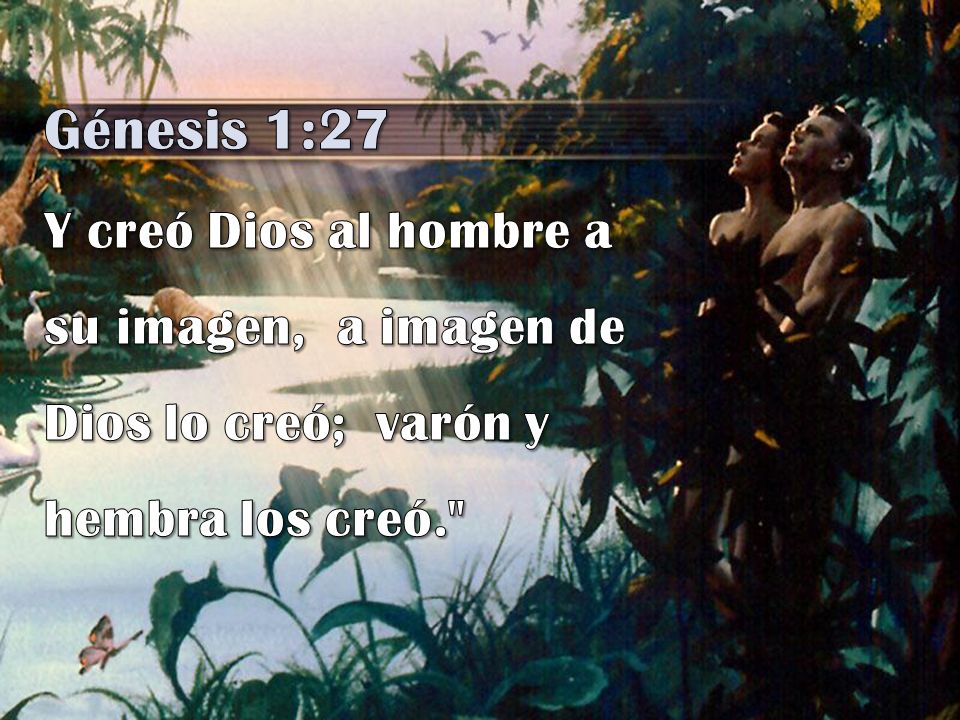 Génesis 1:27 Y creó Dios al hombre a su imagen, a imagen de Dios lo creó; varón y hembra los creó.