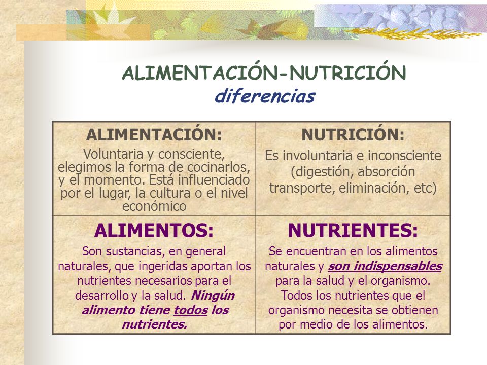 ALIMENTACIÓN-NUTRICIÓN diferencias