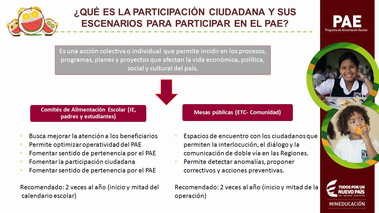 ¿QUÉ ES LA PARTICIPACIÓN CIUDADANA Y SUS ESCENARIOS PARA PARTICIPAR EN EL PAE