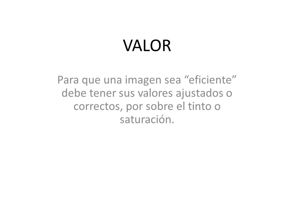 VALOR Para que una imagen sea eficiente debe tener sus valores ajustados o correctos, por sobre el tinto o saturación.