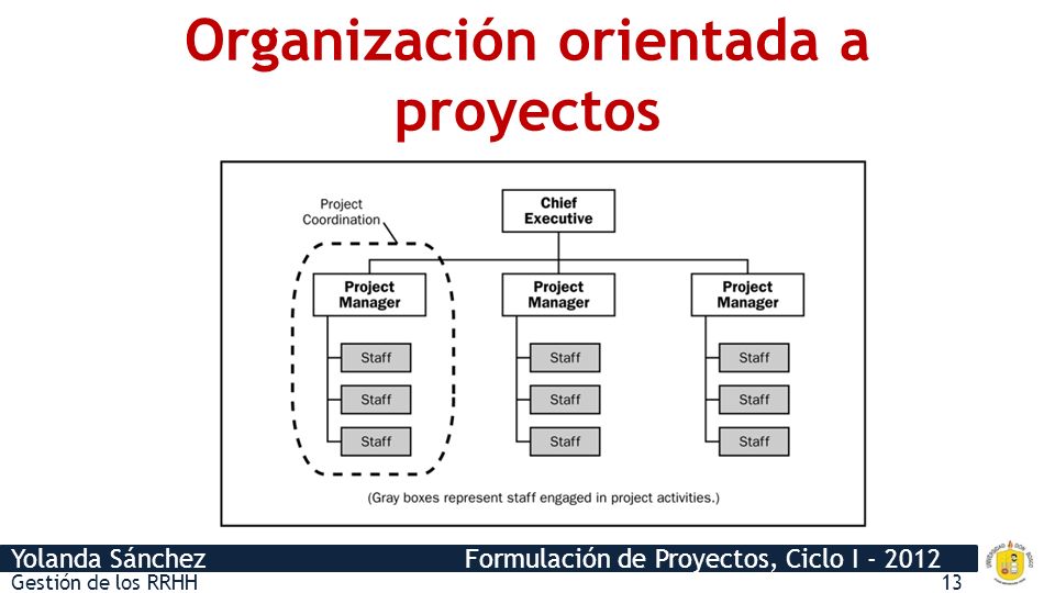 Organización orientada a proyectos