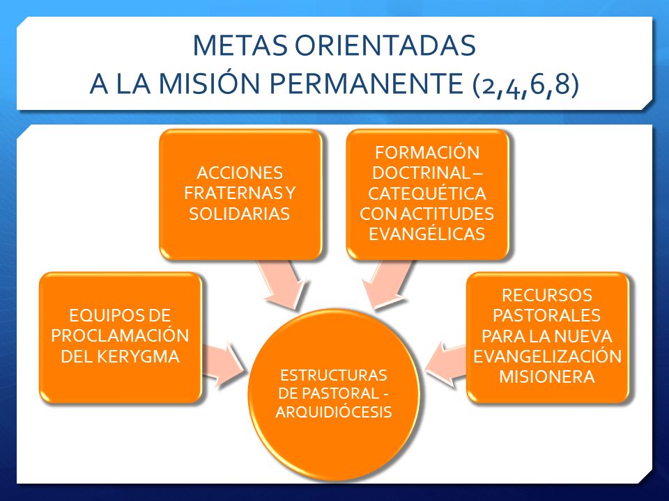 METAS ORIENTADAS A LA MISIÓN PERMANENTE (2,4,6,8)