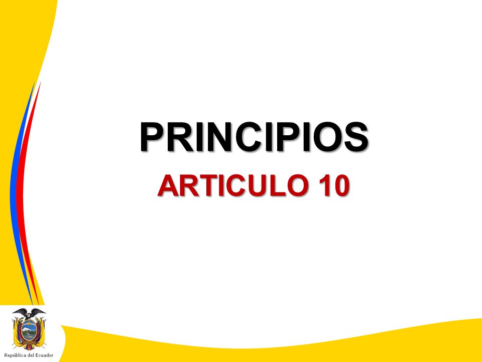 PRINCIPIOS ARTICULO 10
