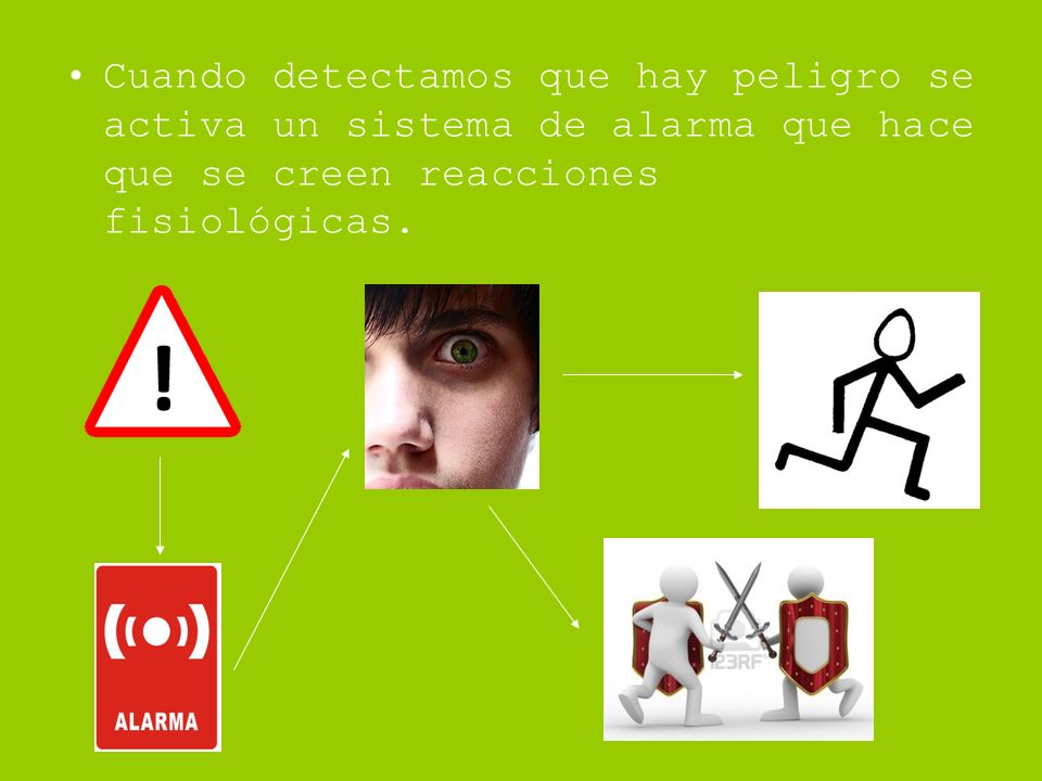 Cuando detectamos que hay peligro se activa un sistema de alarma que hace que se creen reacciones fisiológicas.