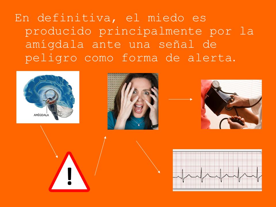 En definitiva, el miedo es producido principalmente por la amígdala ante una señal de peligro como forma de alerta.