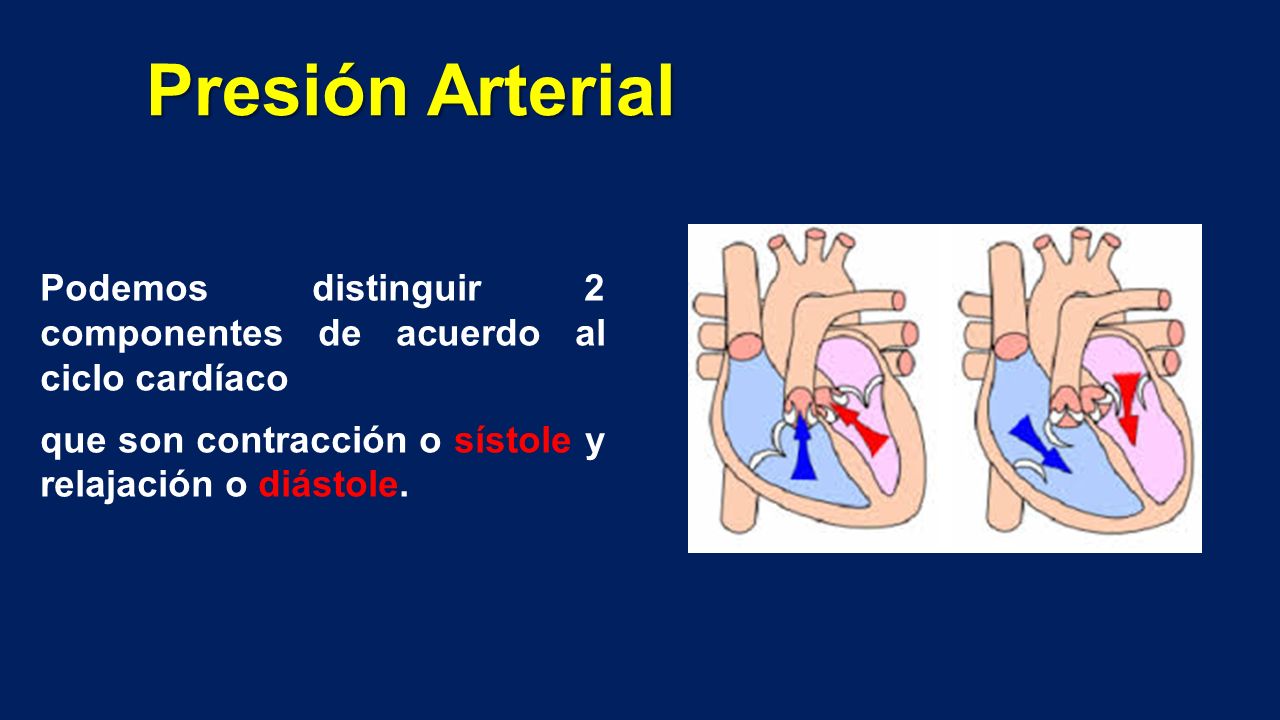 Presión Arterial Podemos distinguir 2 componentes de acuerdo al ciclo cardíaco.