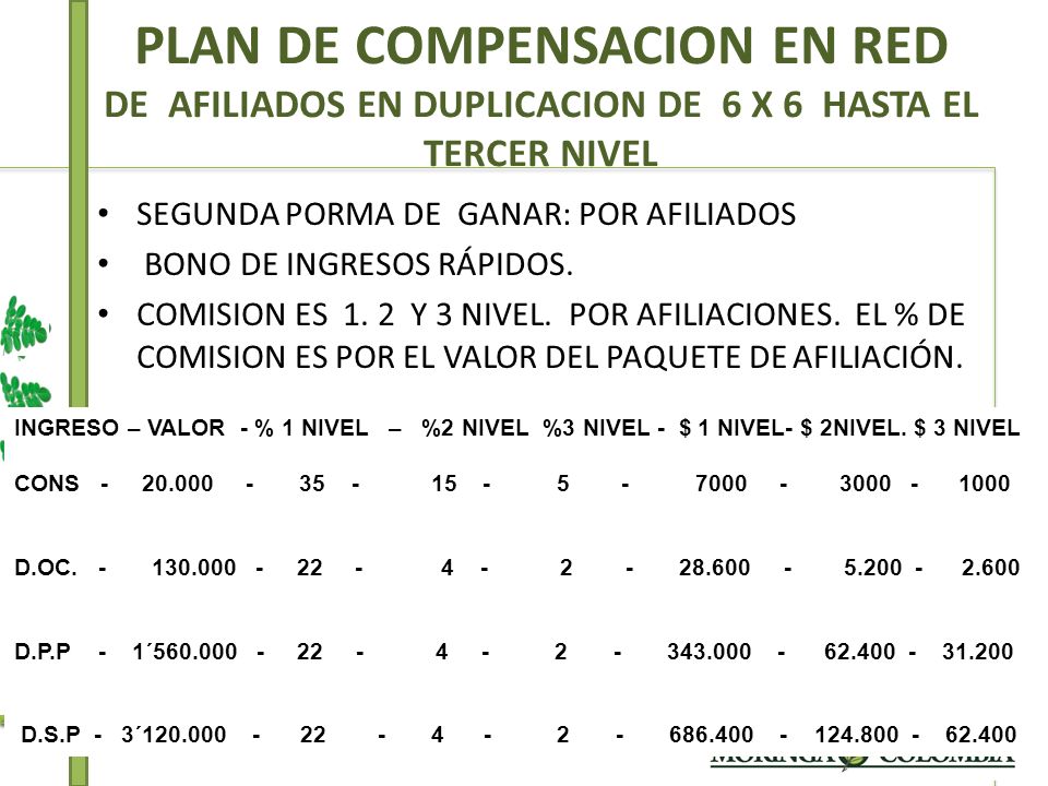 PLAN DE COMPENSACION EN RED DE AFILIADOS EN DUPLICACION DE 6 X 6 HASTA EL TERCER NIVEL