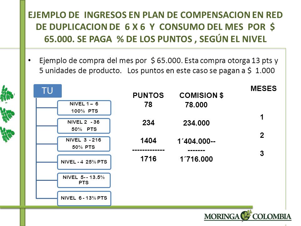 EJEMPLO DE INGRESOS EN PLAN DE COMPENSACION EN RED DE DUPLICACION DE 6 X 6 Y CONSUMO DEL MES POR $ SE PAGA % DE LOS PUNTOS , SEGÚN EL NIVEL