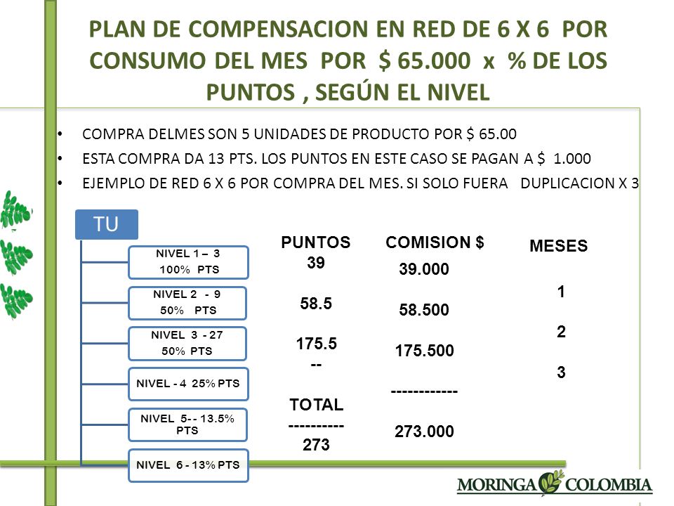 PLAN DE COMPENSACION EN RED DE 6 X 6 POR CONSUMO DEL MES POR $ 65