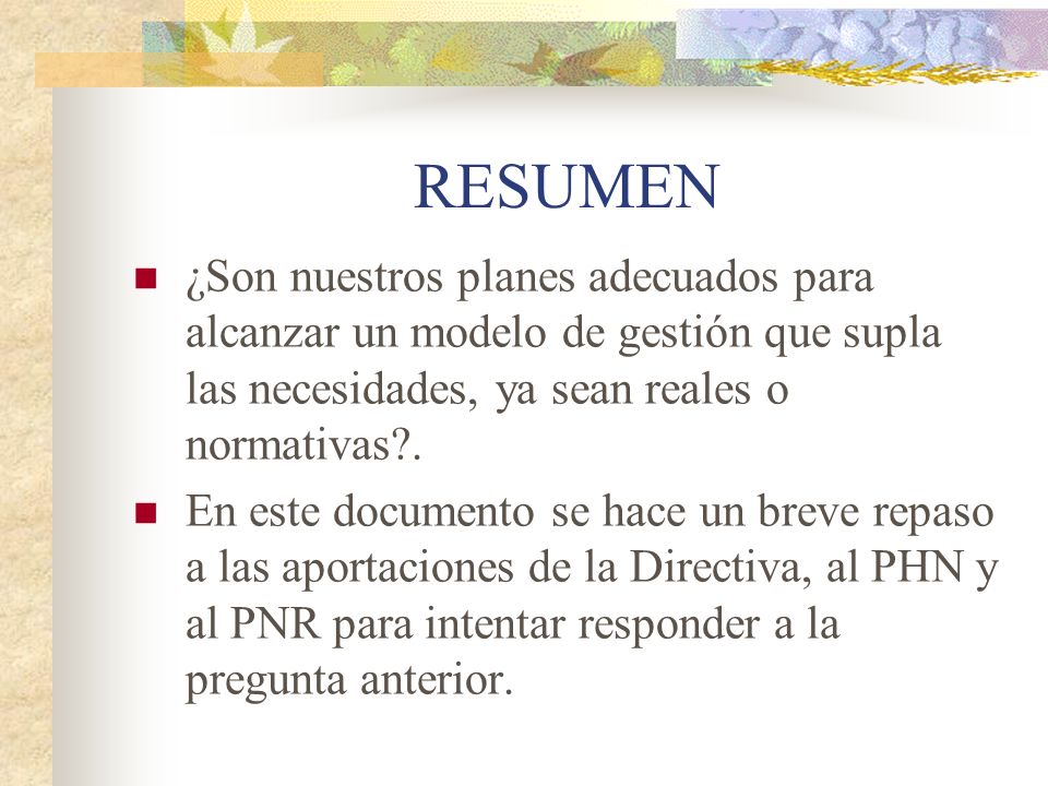 RESUMEN ¿Son nuestros planes adecuados para alcanzar un modelo de gestión que supla las necesidades, ya sean reales o normativas .