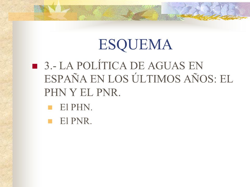 ESQUEMA 3.- LA POLÍTICA DE AGUAS EN ESPAÑA EN LOS ÚLTIMOS AÑOS: EL PHN Y EL PNR. El PHN. El PNR.