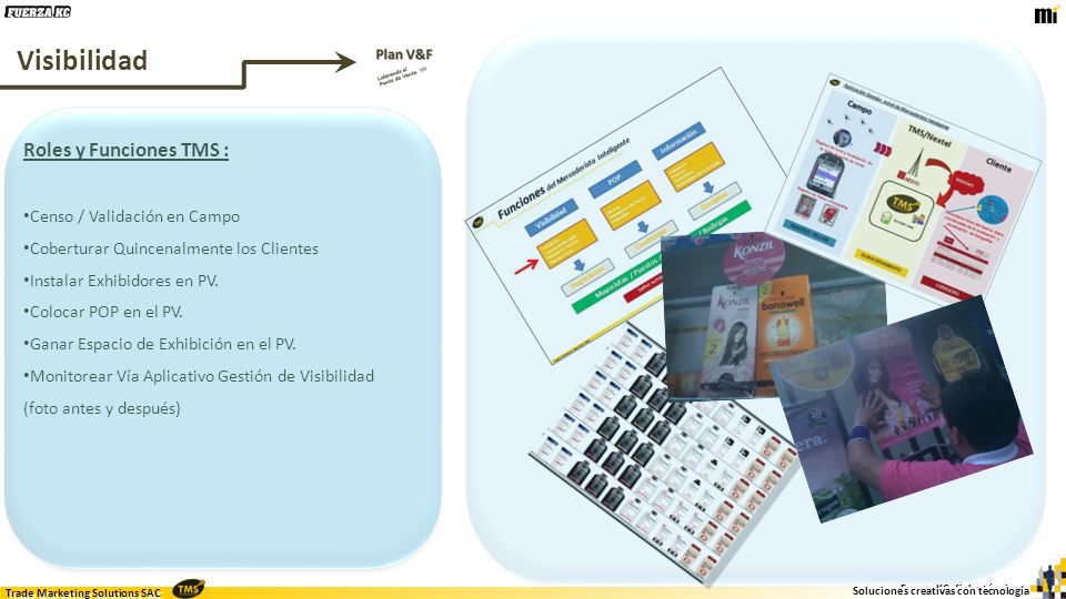 Visibilidad Roles y Funciones TMS : Censo / Validación en Campo