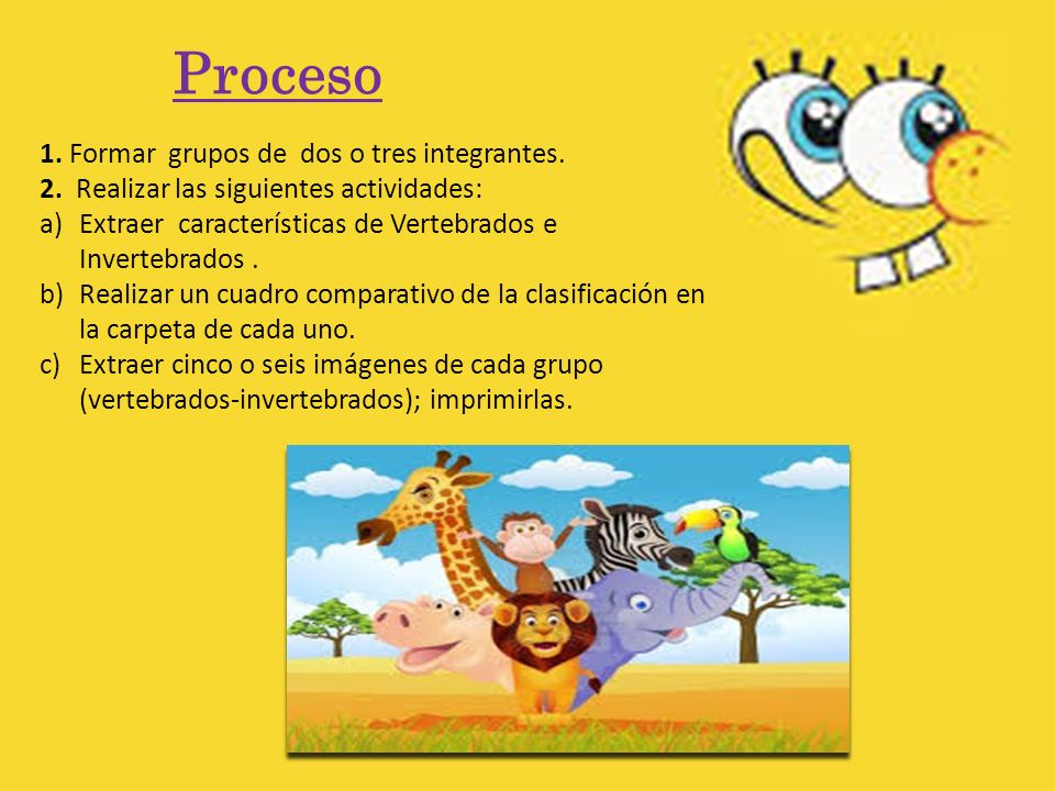 Proceso 1. Formar grupos de dos o tres integrantes.