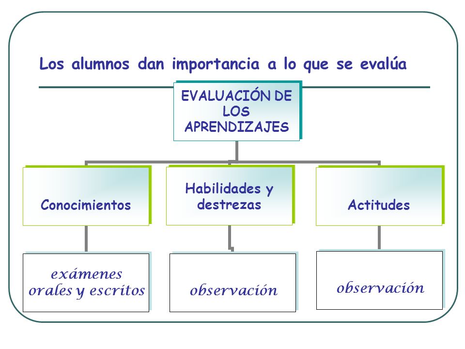 Los alumnos dan importancia a lo que se evalúa