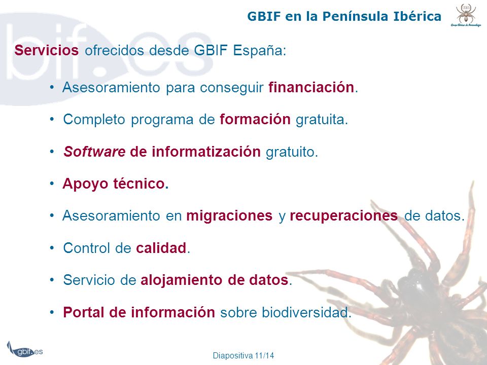 Servicios ofrecidos desde GBIF España:
