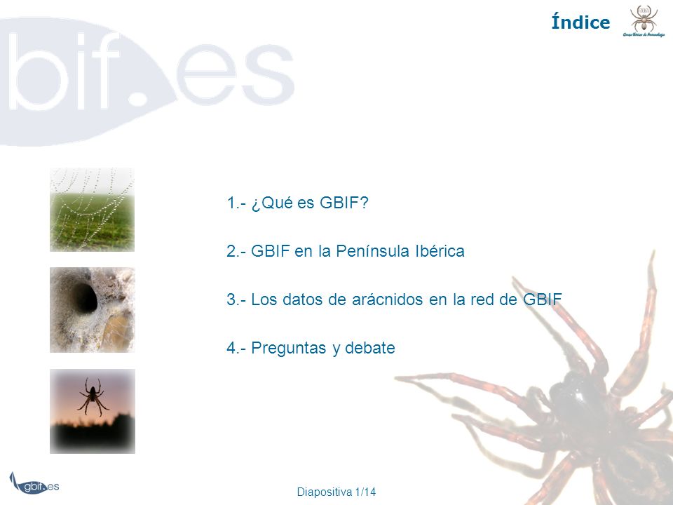2.- GBIF en la Península Ibérica