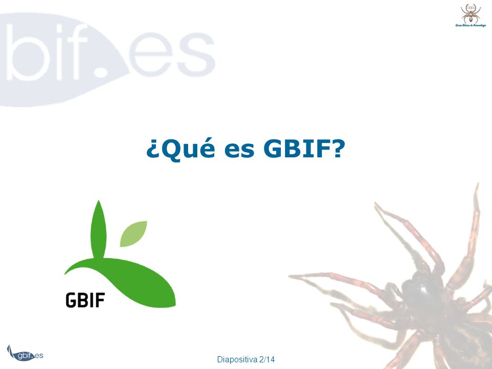 ¿Qué es GBIF Diapositiva 2/14