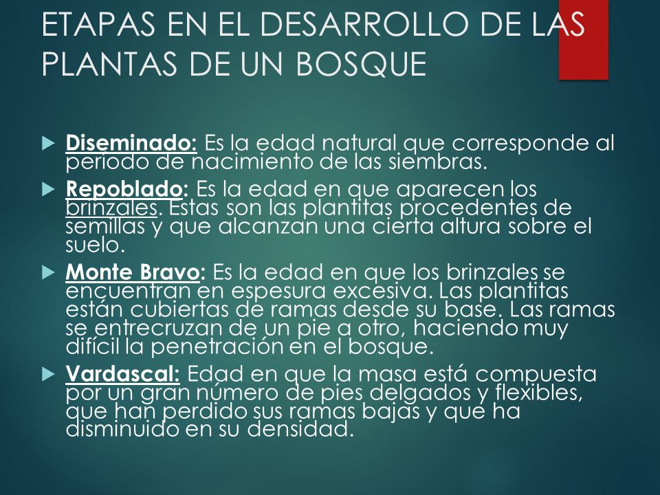 ETAPAS EN EL DESARROLLO DE LAS PLANTAS DE UN BOSQUE