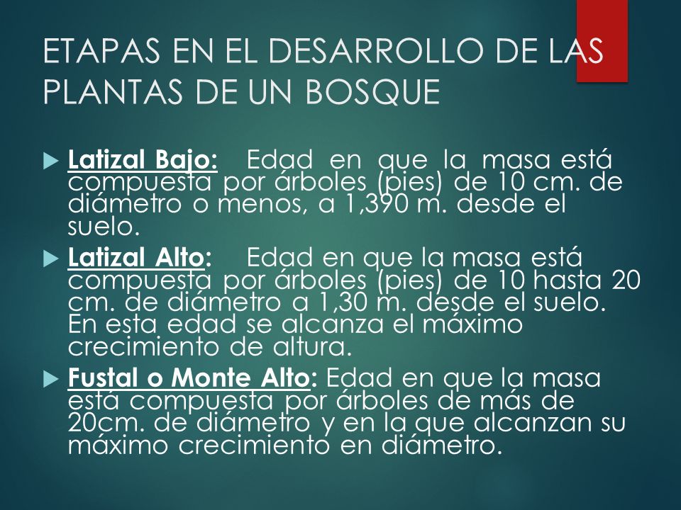 ETAPAS EN EL DESARROLLO DE LAS PLANTAS DE UN BOSQUE
