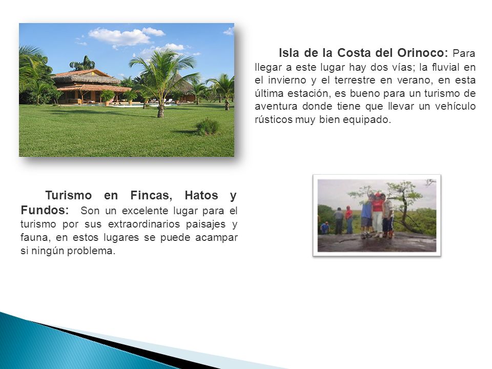 Isla de la Costa del Orinoco: Para llegar a este lugar hay dos vías; la fluvial en el invierno y el terrestre en verano, en esta última estación, es bueno para un turismo de aventura donde tiene que llevar un vehículo rústicos muy bien equipado.