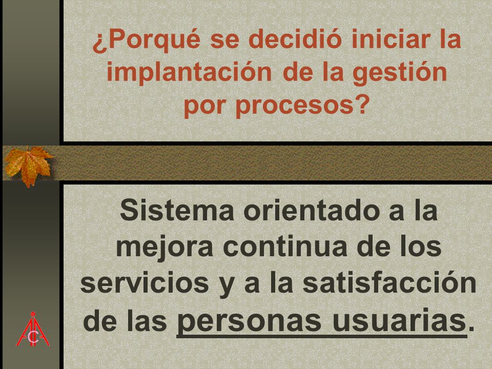 ¿Porqué se decidió iniciar la implantación de la gestión por procesos