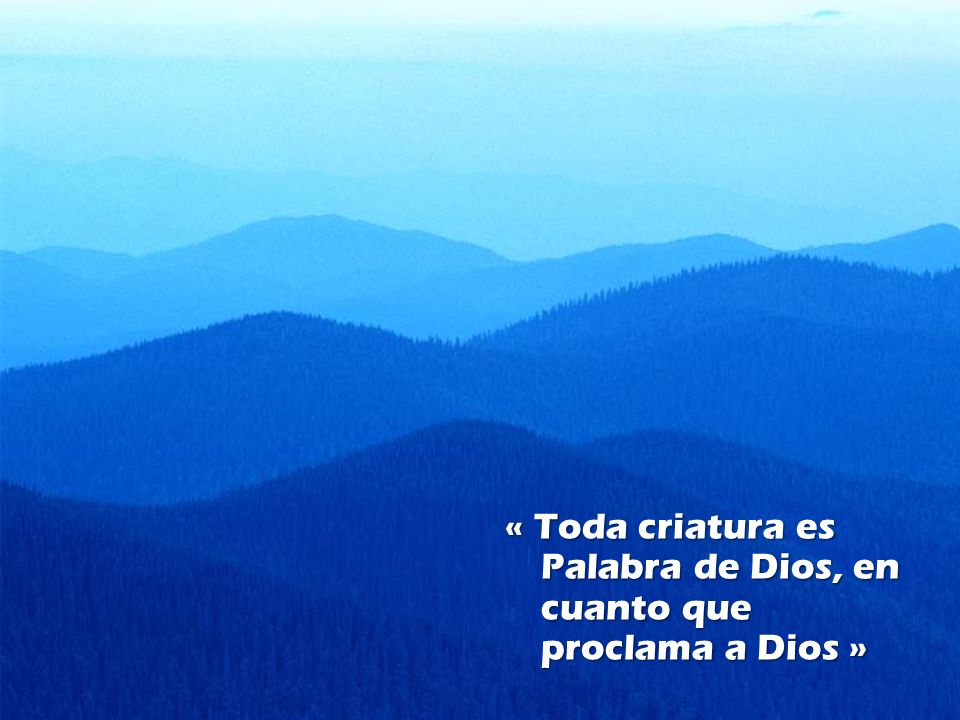 « Toda criatura es Palabra de Dios, en cuanto que proclama a Dios »
