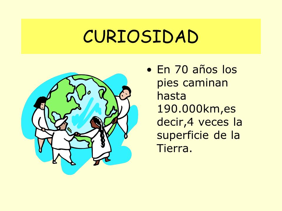 CURIOSIDAD En 70 años los pies caminan hasta km,es decir,4 veces la superficie de la Tierra.