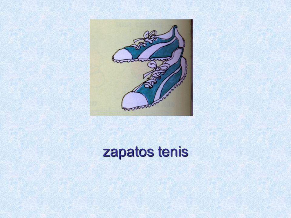 zapatos tenis