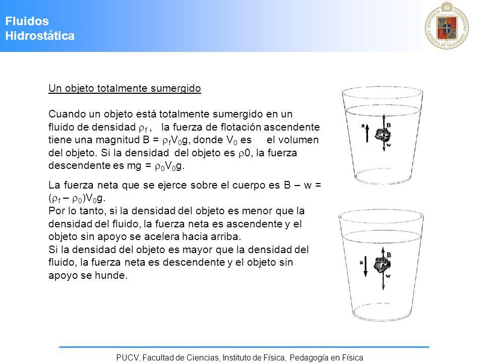PUCV, Facultad de Ciencias, Instituto de Física, Pedagogía en Física