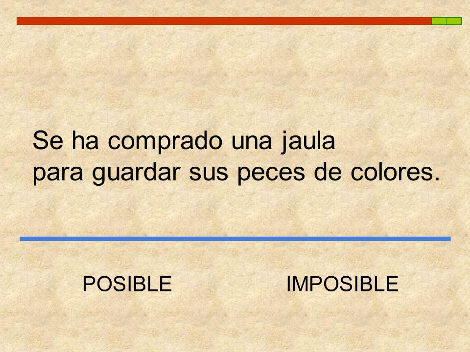 Se ha comprado una jaula para guardar sus peces de colores.