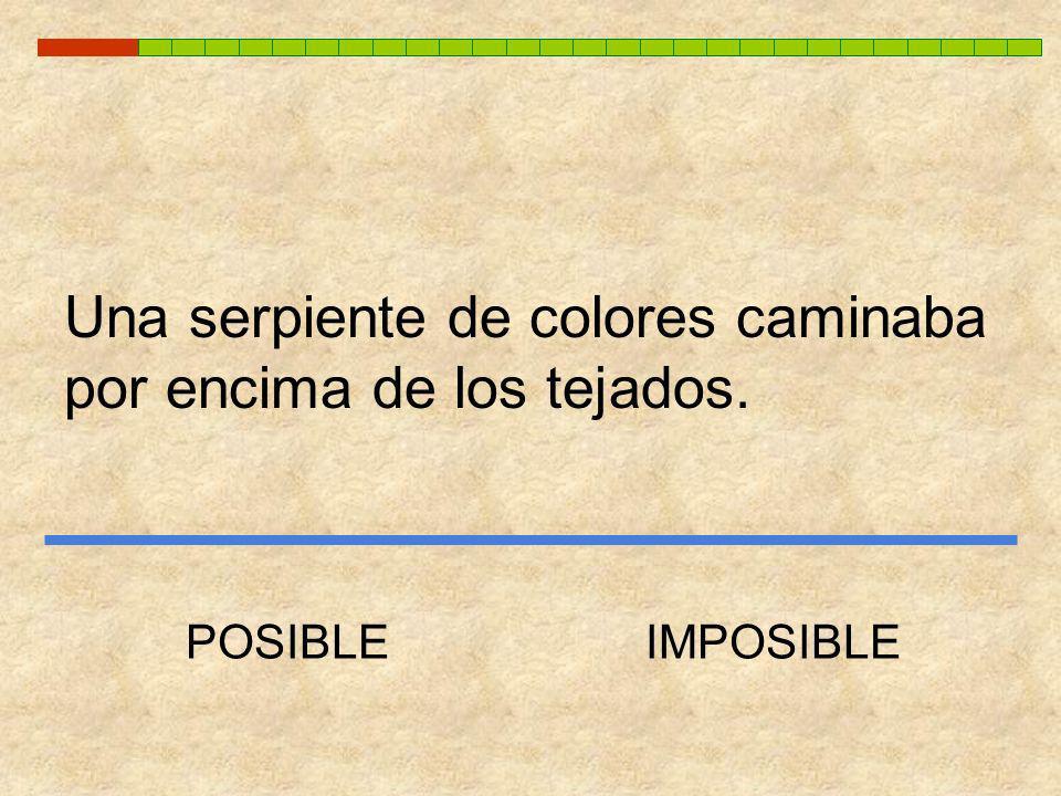 Una serpiente de colores caminaba por encima de los tejados.